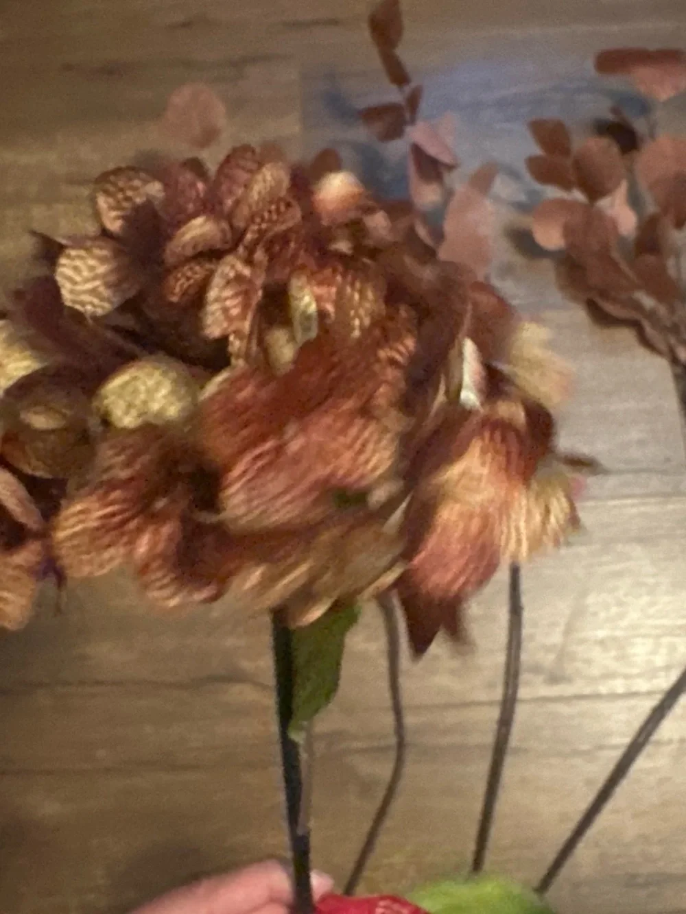 Fall flowers and plants